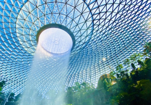 Tất tần tật về Xu hướng Multisensation (Đa giác quan)